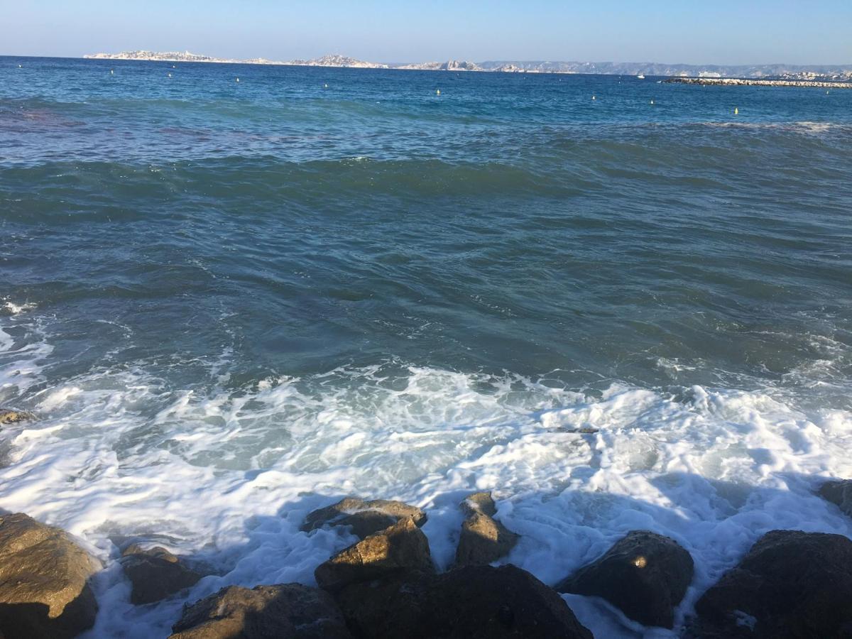 Appartement La Plage De La Pointe Rouge Marseille Eksteriør billede
